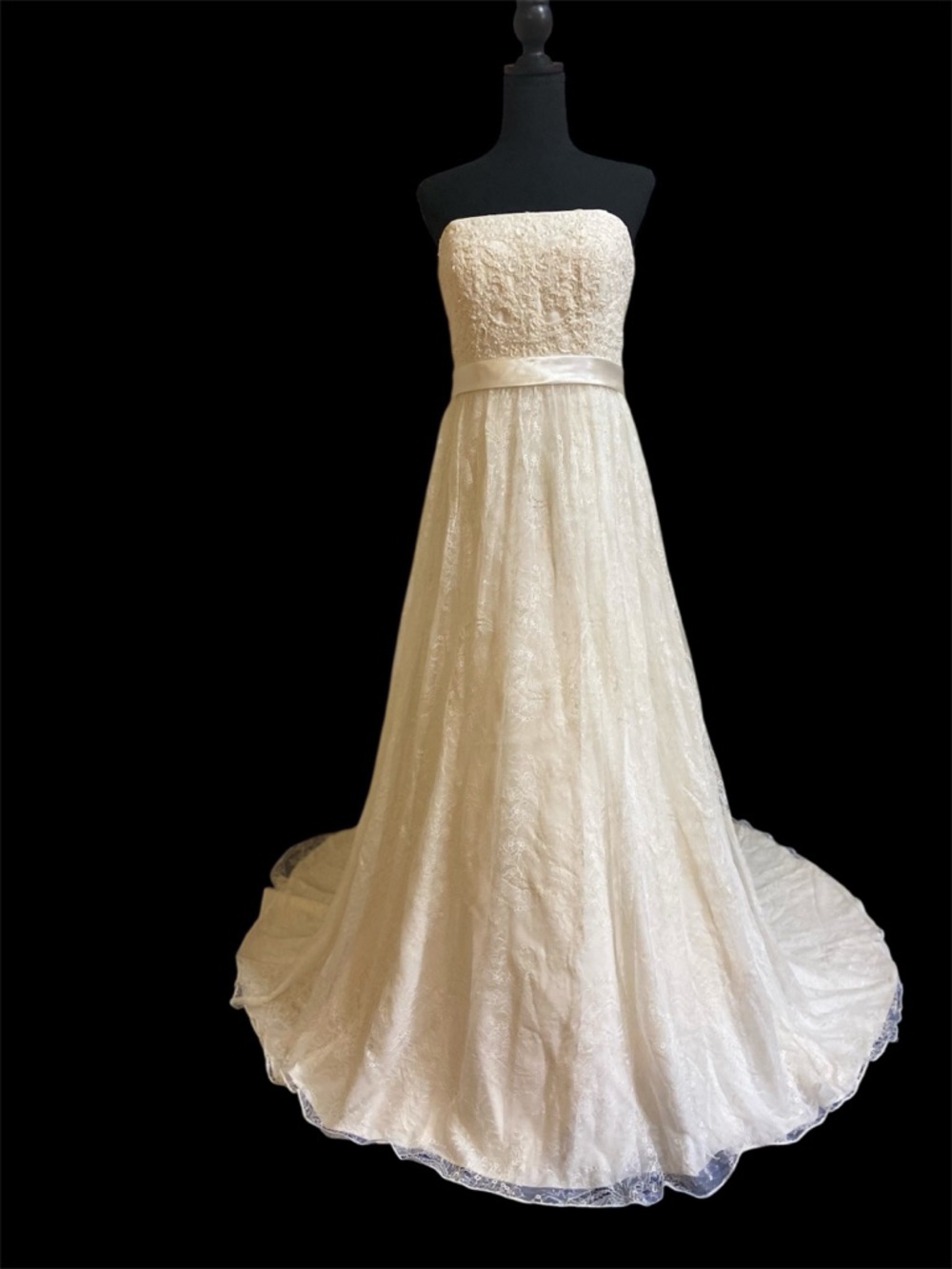 David's Bridal Ivory Strapless Lace Wedding Gown